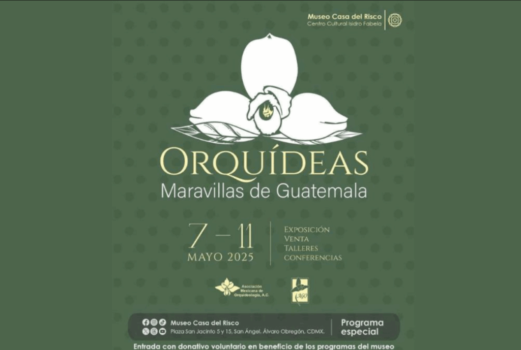 Expo Orquídeas: Guatemala ilumina la Casa del Risco en la CDMX